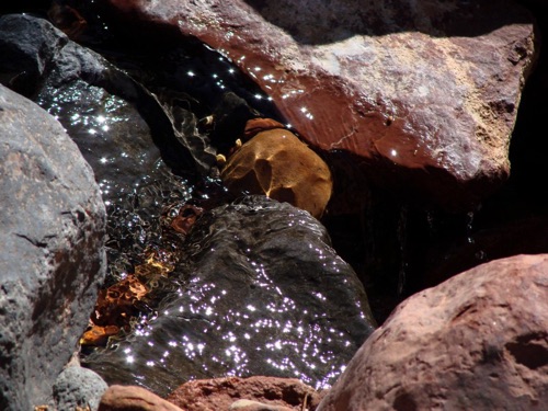 Sacred Water and Rocks